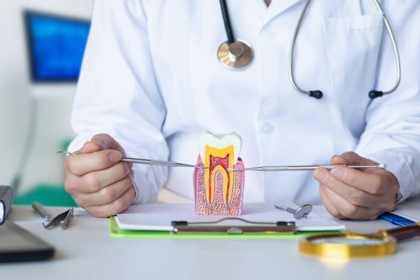 Best Cosmetic Emergency Dentistry in Cokato, MN